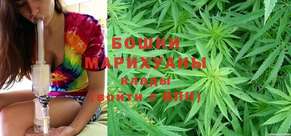 амф Аркадак