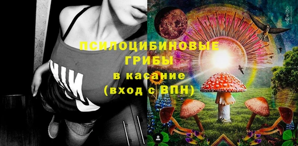 амф Аркадак