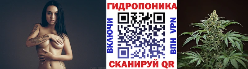 Конопля гибрид  площадка наркотические препараты  Сим  кракен  